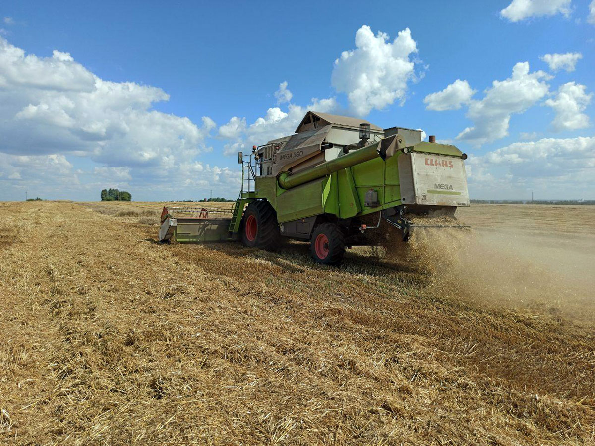 Уборка зерновых в России 2020